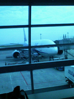 200610010818000.jpg